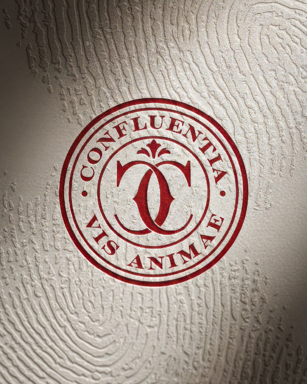 1773103820811682.jpg 1773103820811682.jpg