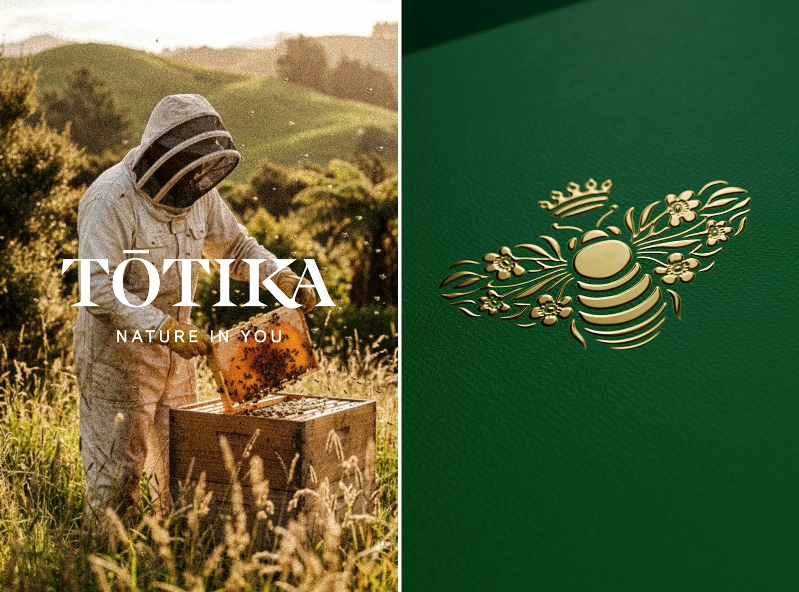 1774922076545756.jpg 1774922076545756.jpg