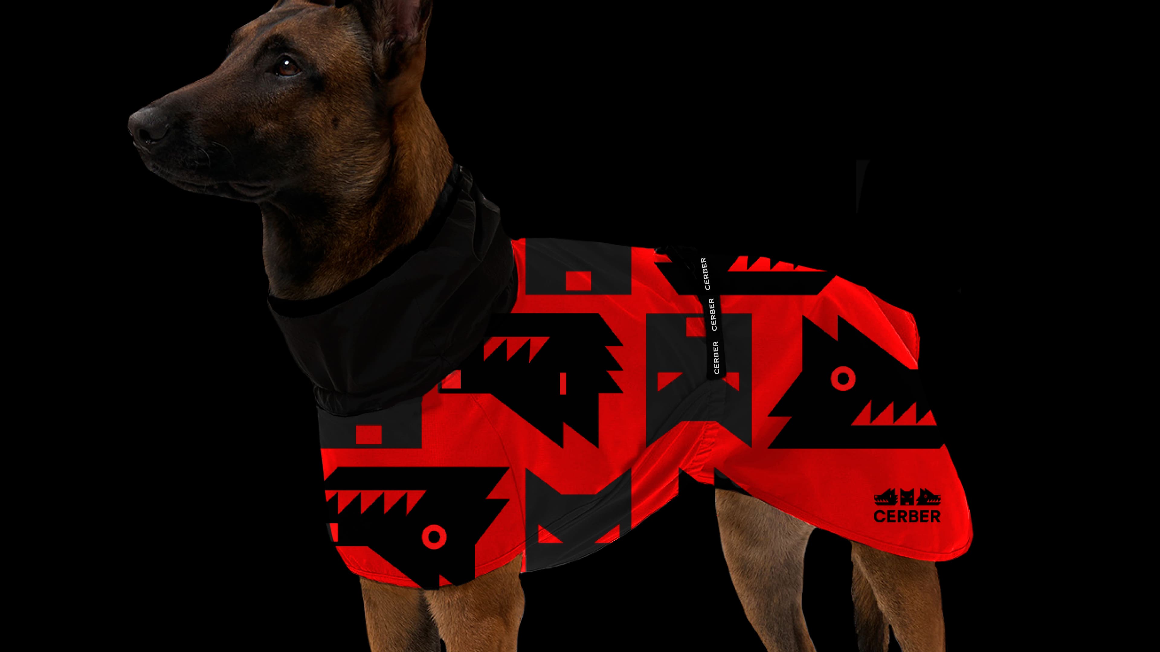 1780016508773764.jpg